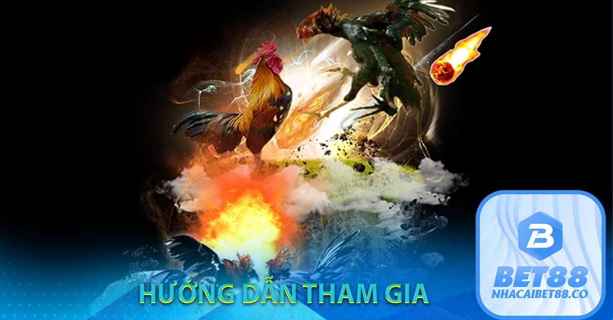 Hướng dẫn tham gia 